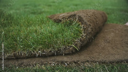 Wallpaper Mural Unrolling Sod for a New Lawn Torontodigital.ca