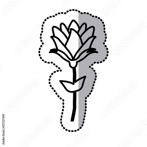 roses icon stock image  vector illustration design