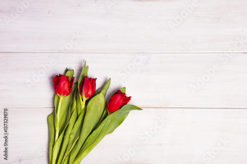 Early tulips on a light wooden background