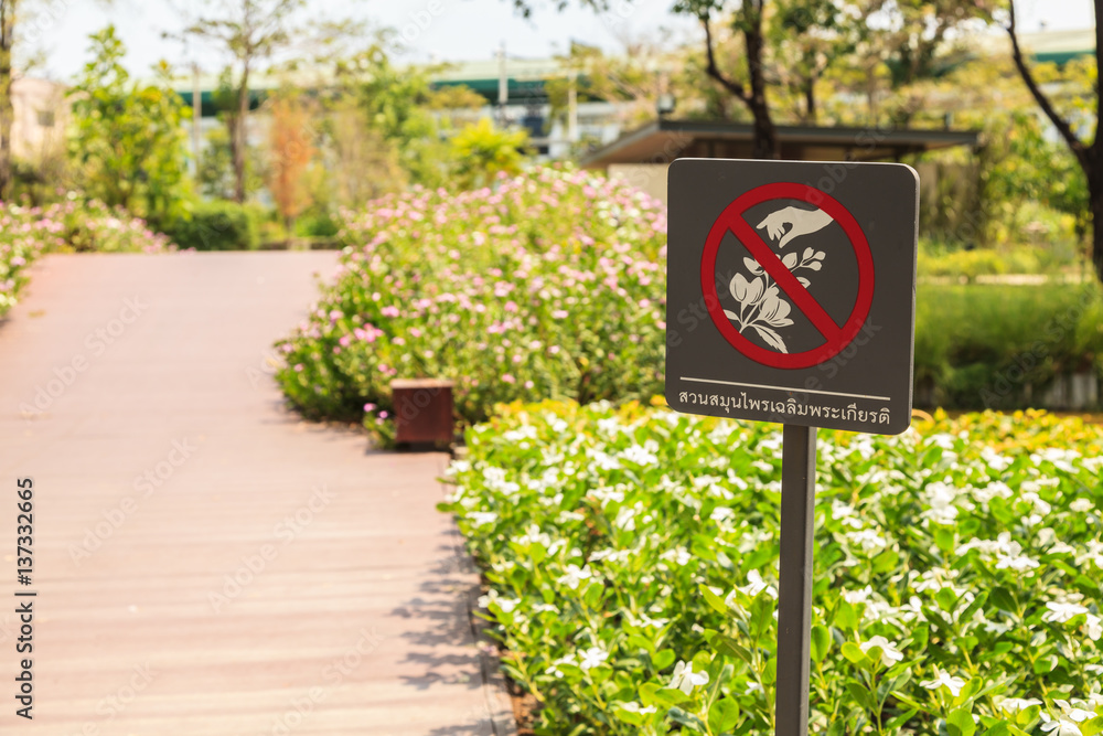 do-not-pick-the-flowers-sign-stock-foto-adobe-stock