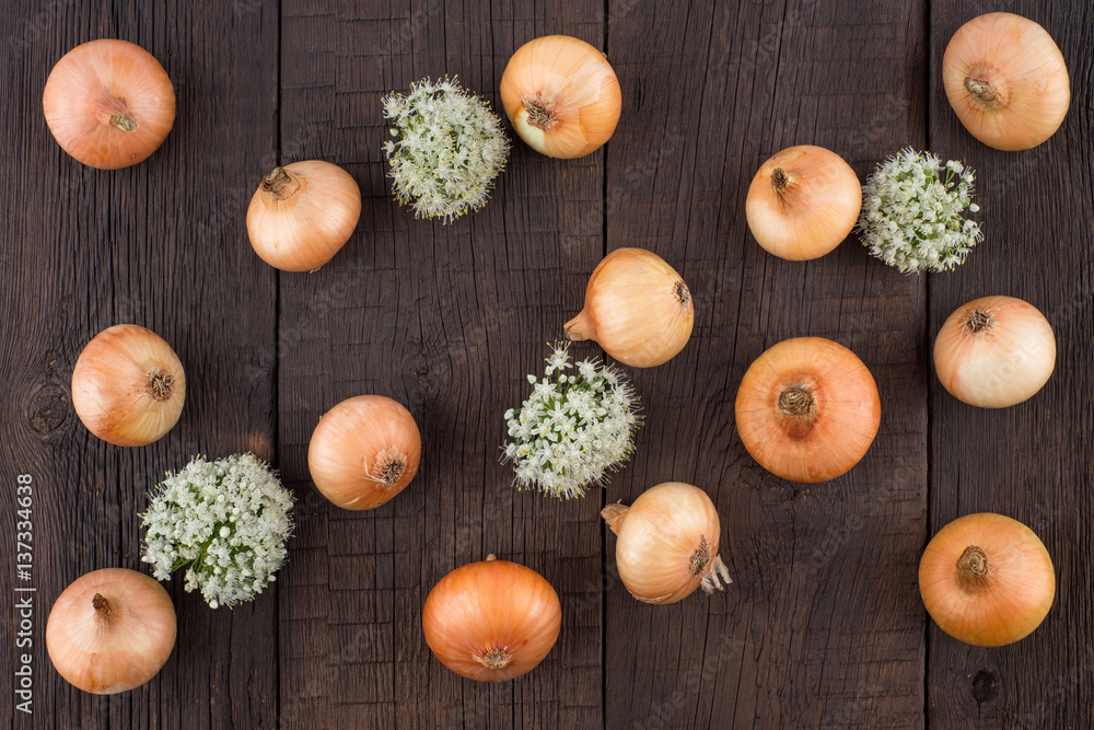 Onion on an old wooden table.