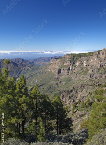 central Gran Canaria in January