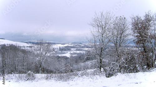 snow landscape in winter © pilar