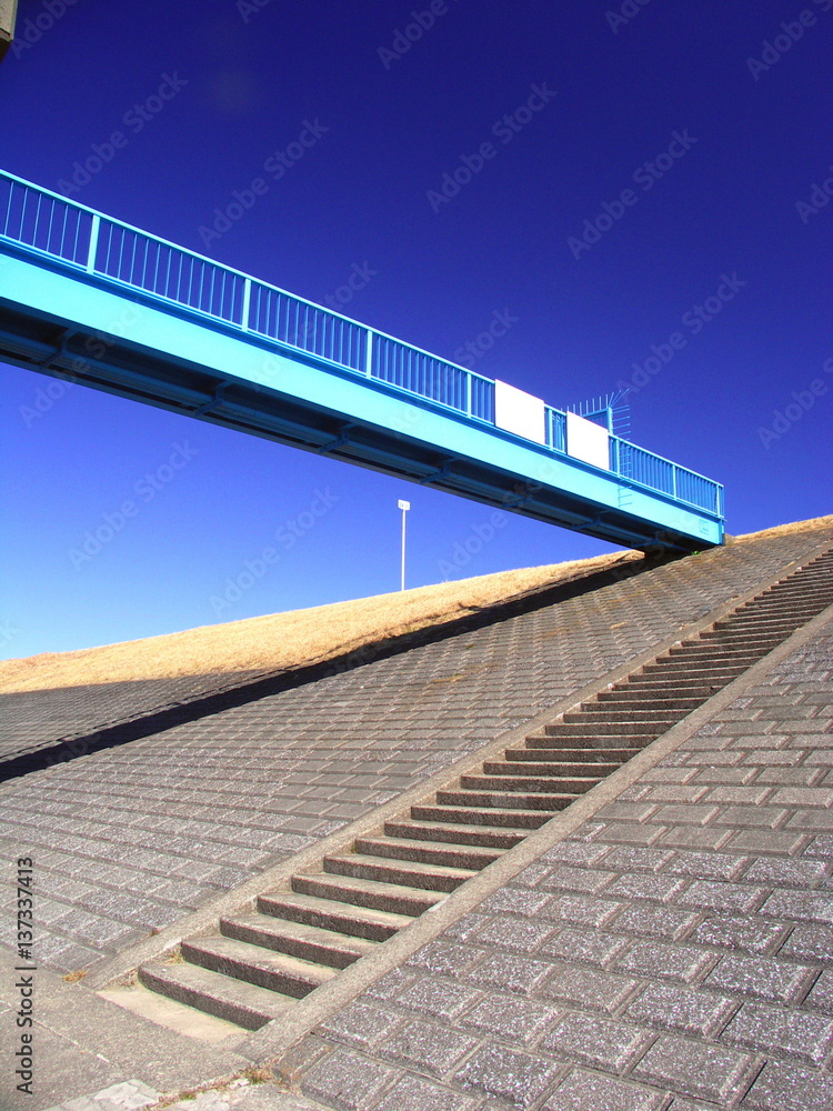 Obraz premium 冬の江戸川護岸風景