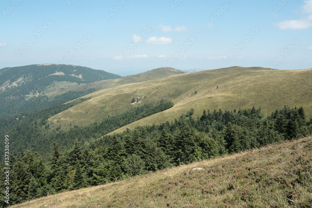 Fototapeta premium Prairie dans les Pyrénées audoises, France