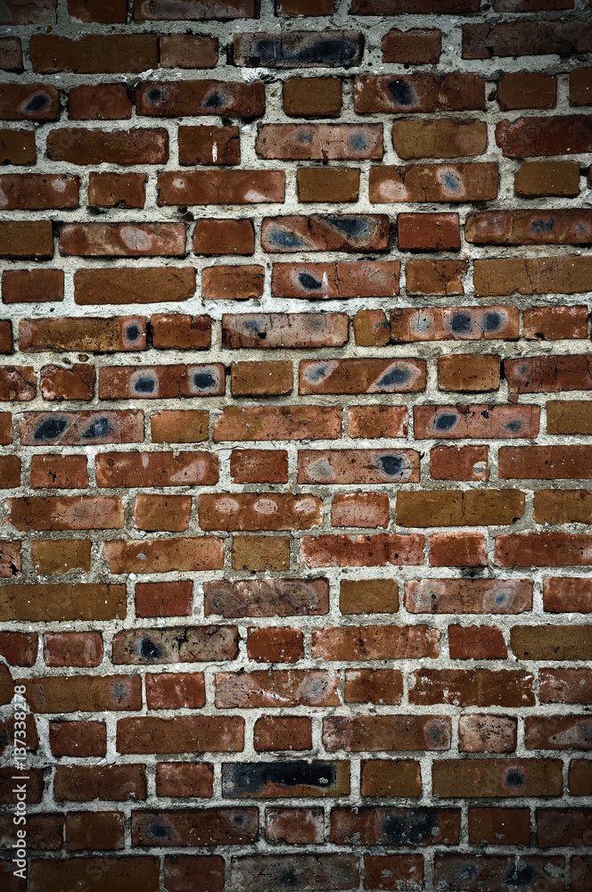 Fototapeta premium Old bricks wall