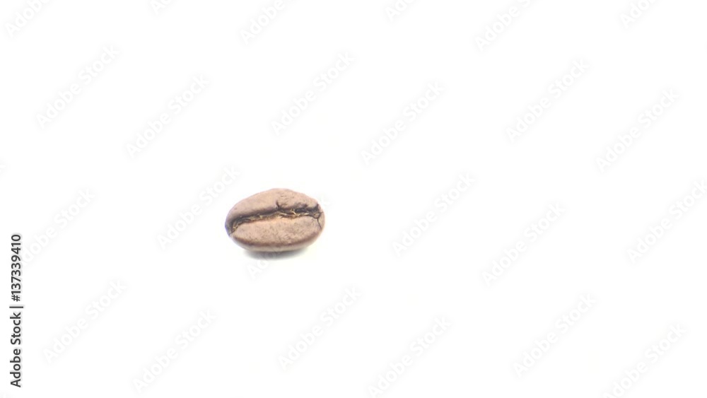 4k A Roasted Coffee Bean zoom on white background-Dan 4k A Roasted Coffee Bean zoom on white background-Dan