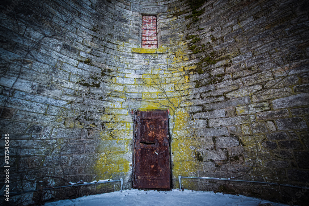 Obraz premium Rusty door along a brick wall 