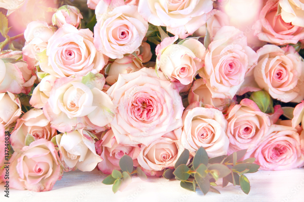 Tender pink roses for a wedding