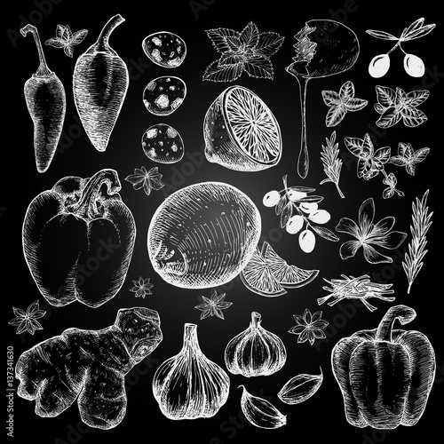 Big set of hand drawn vegetables, kitchen herbs, fruits and eggs. With imitation of chalkboard.