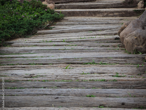 wood boardwalk in garden photo