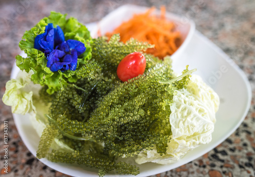 Spicy salad sea grapes or Umi Caviar , green caviar or oval sea grapes seaweed. photo