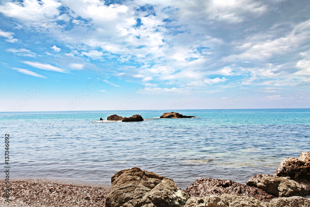 Fototapeta premium summer landscape 