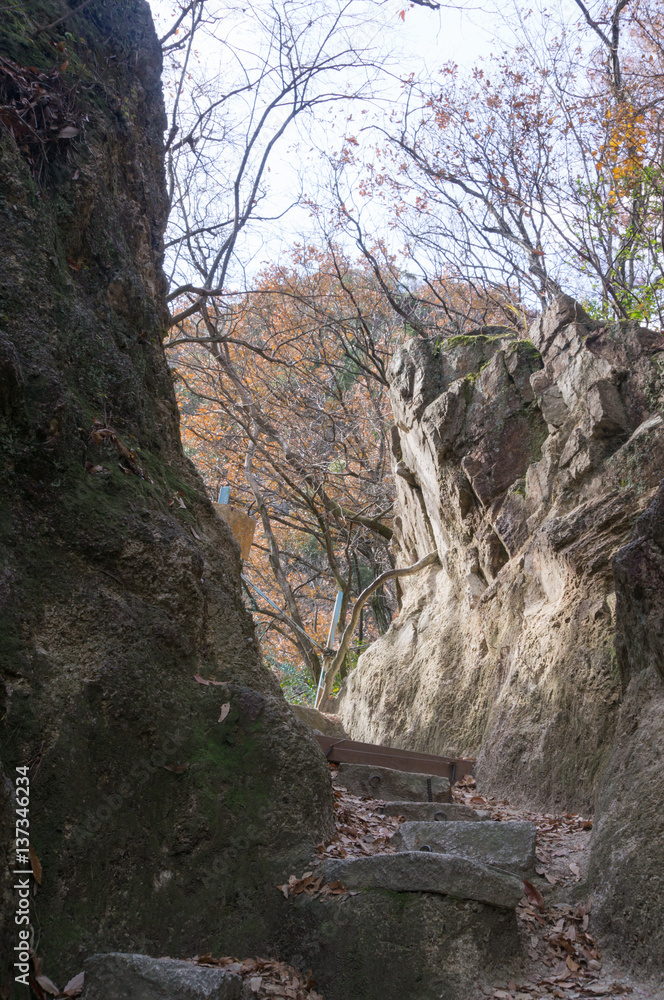 Obraz premium Natural stone steps and path landscaping in Mt.rokko.