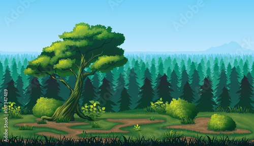 Seamless background of landscape with deep fir forest.