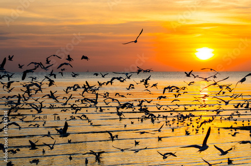 Wallpaper Mural Sunset - Sea and Birds Torontodigital.ca