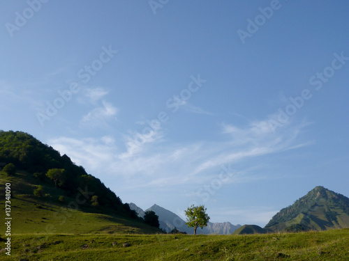 Mountain landscape in Georgia. Great destination for your trip / adventure / trekking. Beautiful nature view