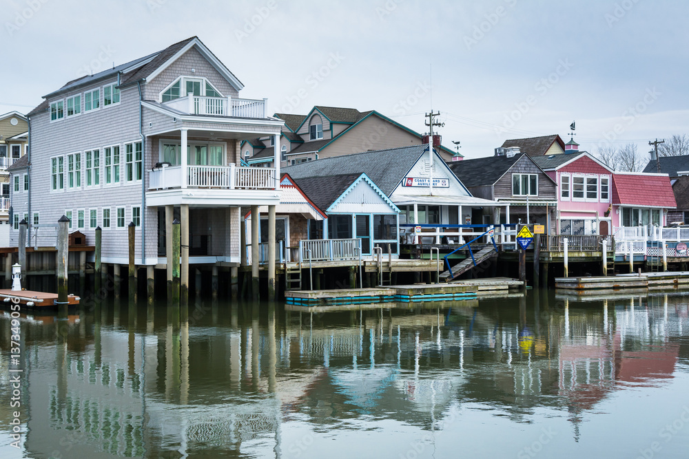 Houses along Cape May Harbor, in Cape May, New Jersey.