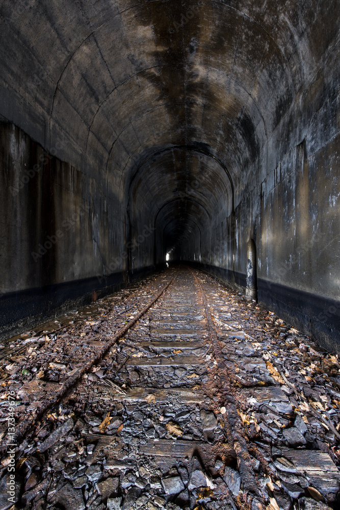Fototapeta Abandoned Railroad Tunnel - Ohio