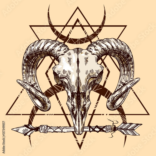 illustration animal skull
