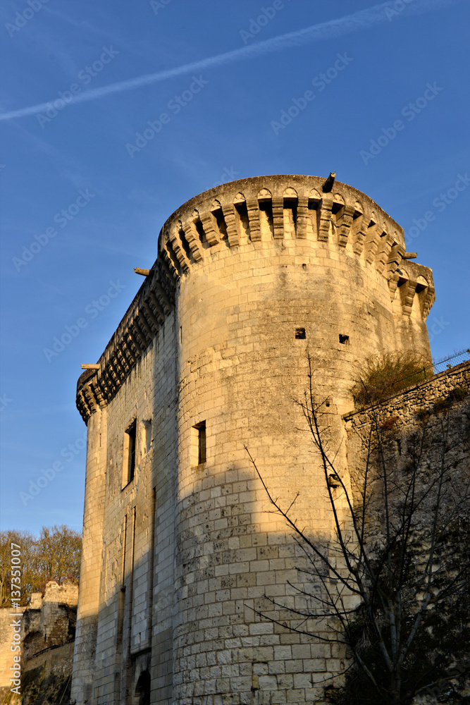 tour d'un château de la Loire