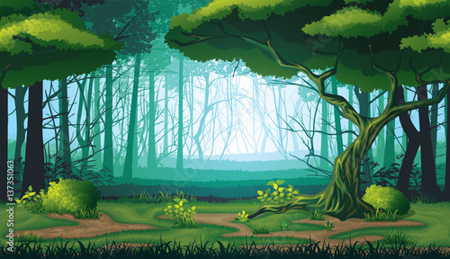 Seamless background of landscape with deep forest.