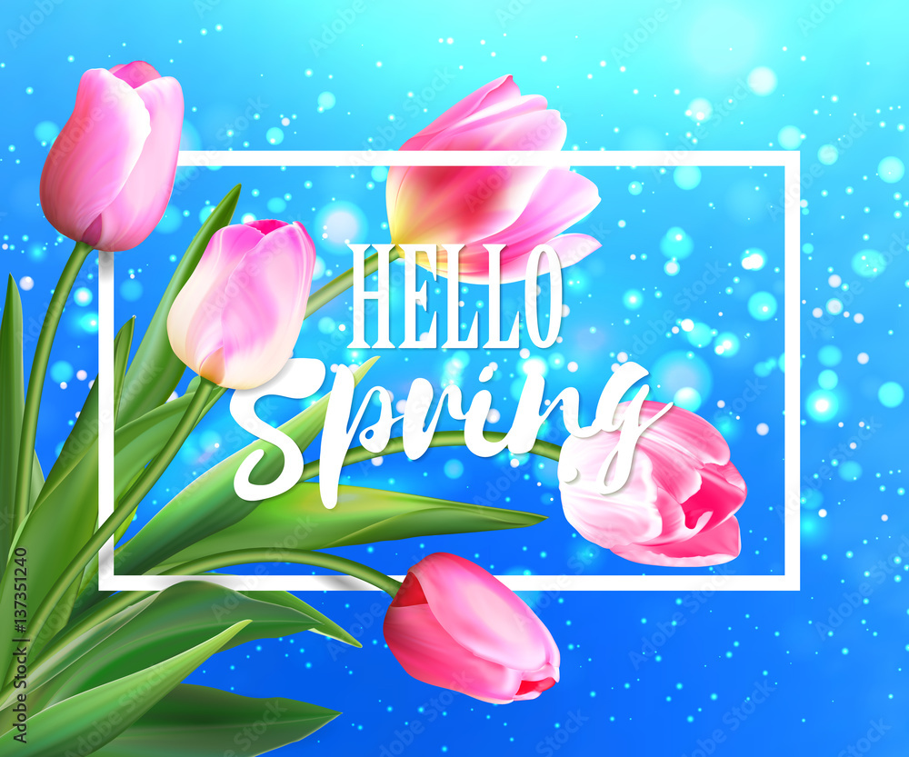 Hello spring tulips flowers background with lettering. Template for greeting card with blooming tulip flowers. Vector illustration EPS10. Pink tulips on blue with bokeh backdrop.