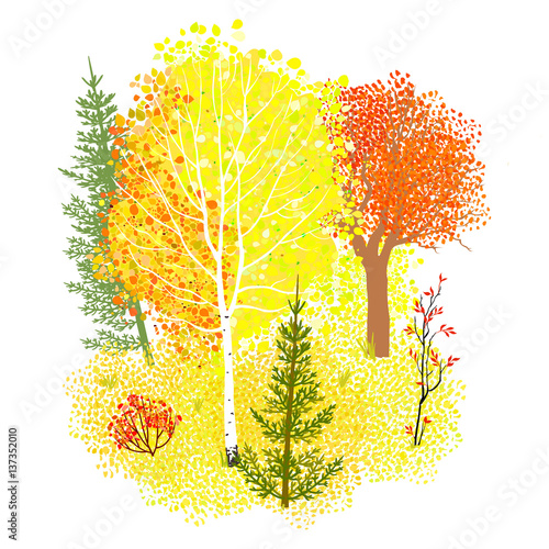 Vector background with autumn forest