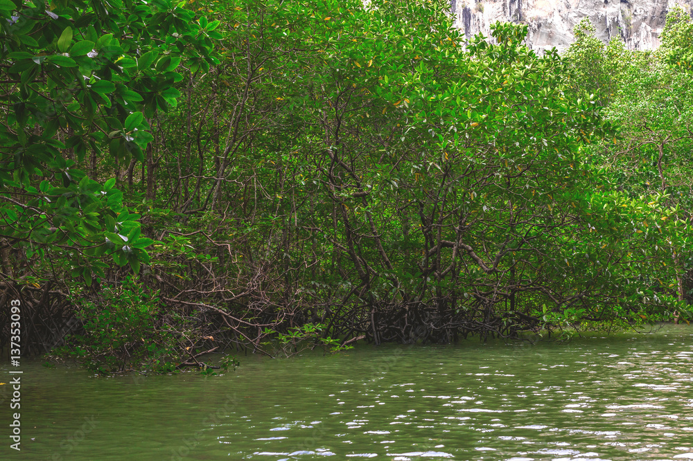 Fototapeta premium Limestone rocks surrounded by the emerald lagoon
