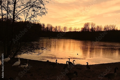 sunset pond