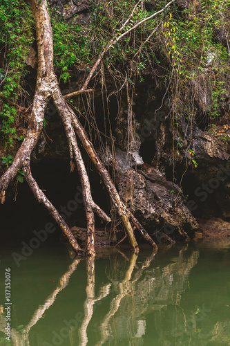 Limestone rocks surrounded by the emerald lagoon