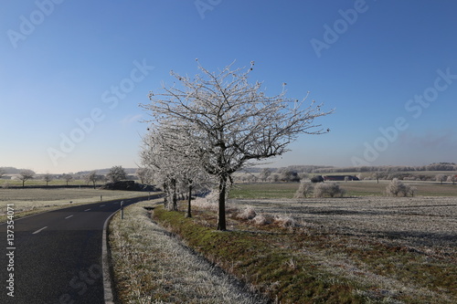Winter landscape with fields and meadows / Frosty Day