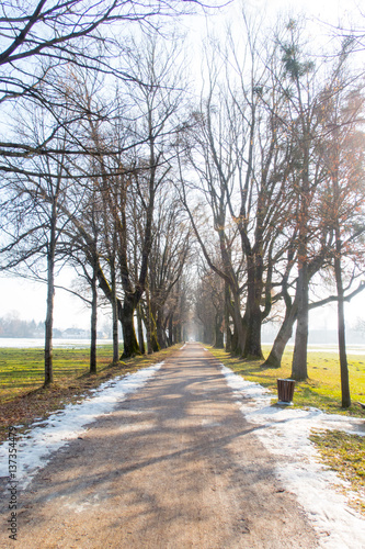 Spazierweg, Allee im Frühling