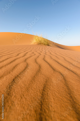 Pattern in the sand, desert Erg Chebbi, Morocco © Julian Schaldach