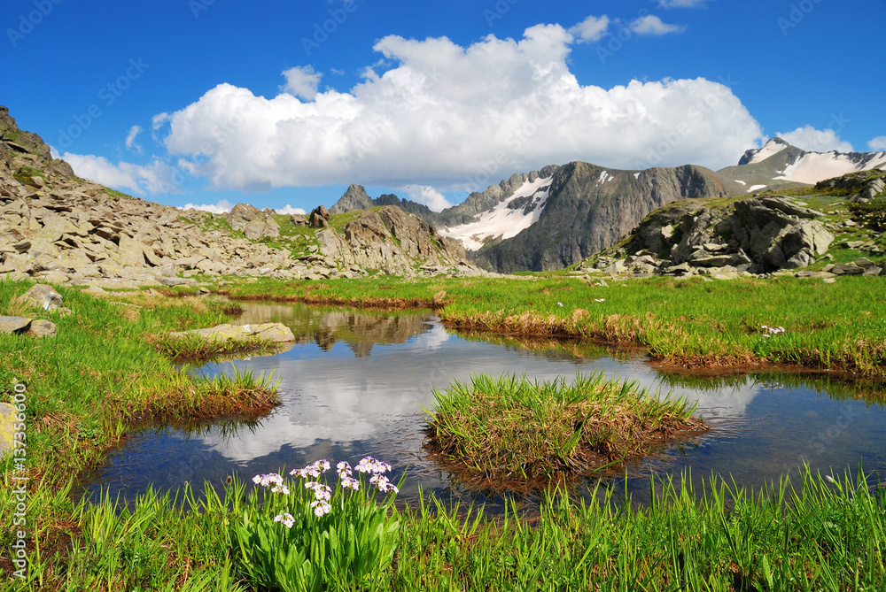 Mountain Lake in the Caucasus summer. Blue sky with white clouds. Flowers in the foreground. Mountain Lake in the Caucasus summer. Blue sky with white clouds. Flowers in the foreground.