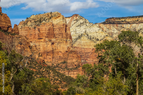 colorful landscape from zion national park utah