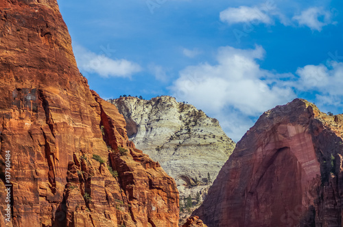 colorful landscape from zion national park utah © larisa_stock