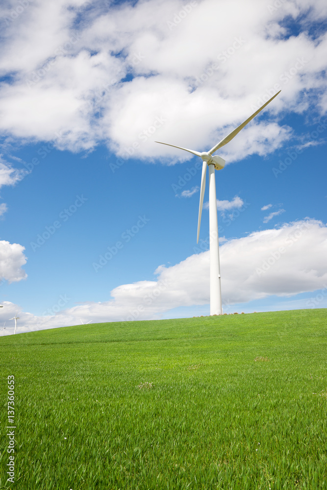 Fototapeta premium Wind energy concept