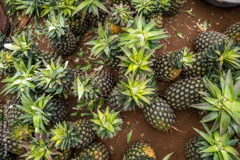 Multitude of pineapples in the market Multitude of pineapples in the market