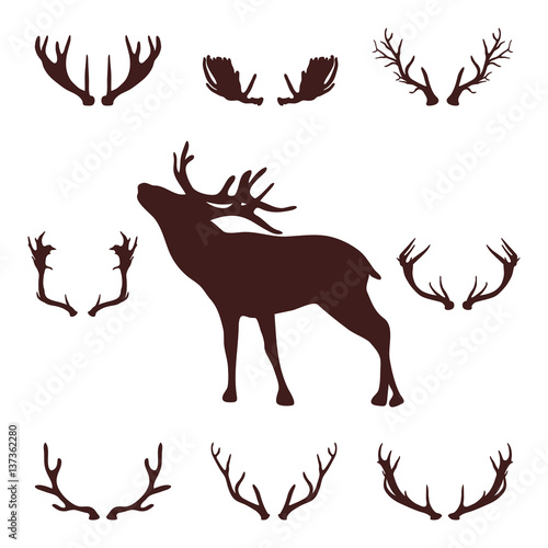Deer head silhouette with antlers  vector illustration.