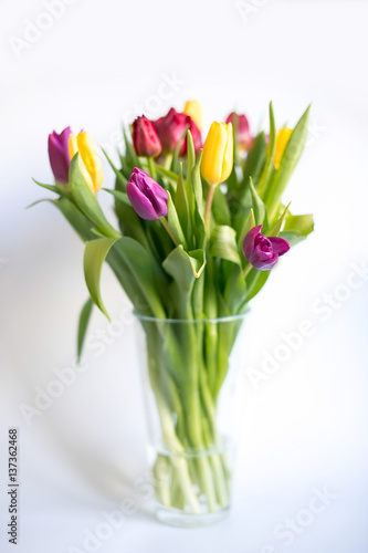 Multi-colored tulips in a clear glass vase on a white background
