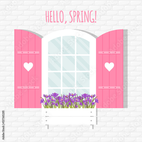 window and shutters. Vector illustration