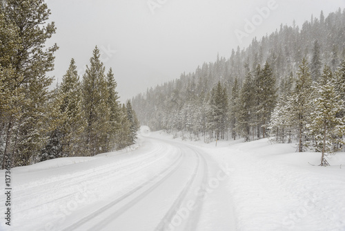Snow Road © cbdusty