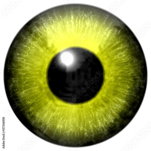 Fototapeta Naklejka Na Ścianę i Meble -  Realistic colorful eye iris texture