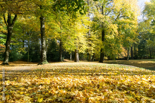Autumn Park Scenery at Krefeld / Germany