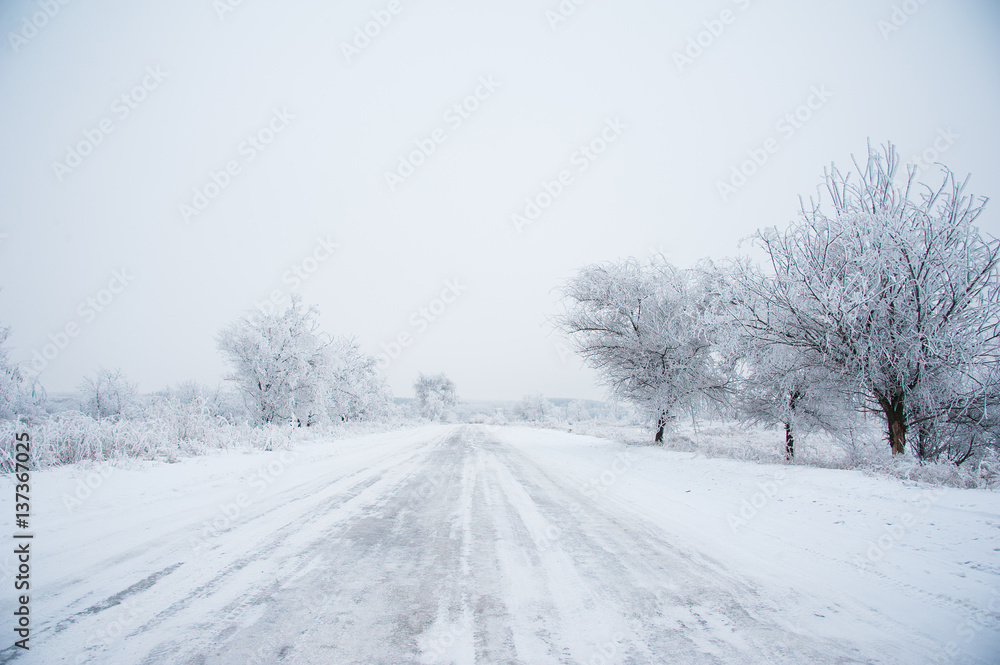 Dirt road in the forest in winter