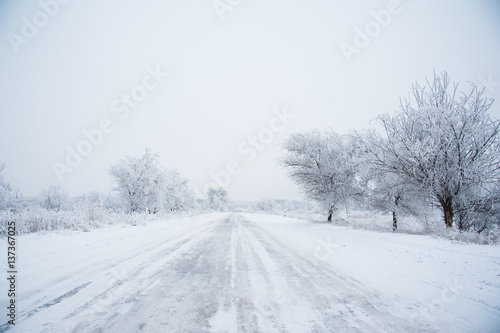 Dirt road in the forest in winter © SGr