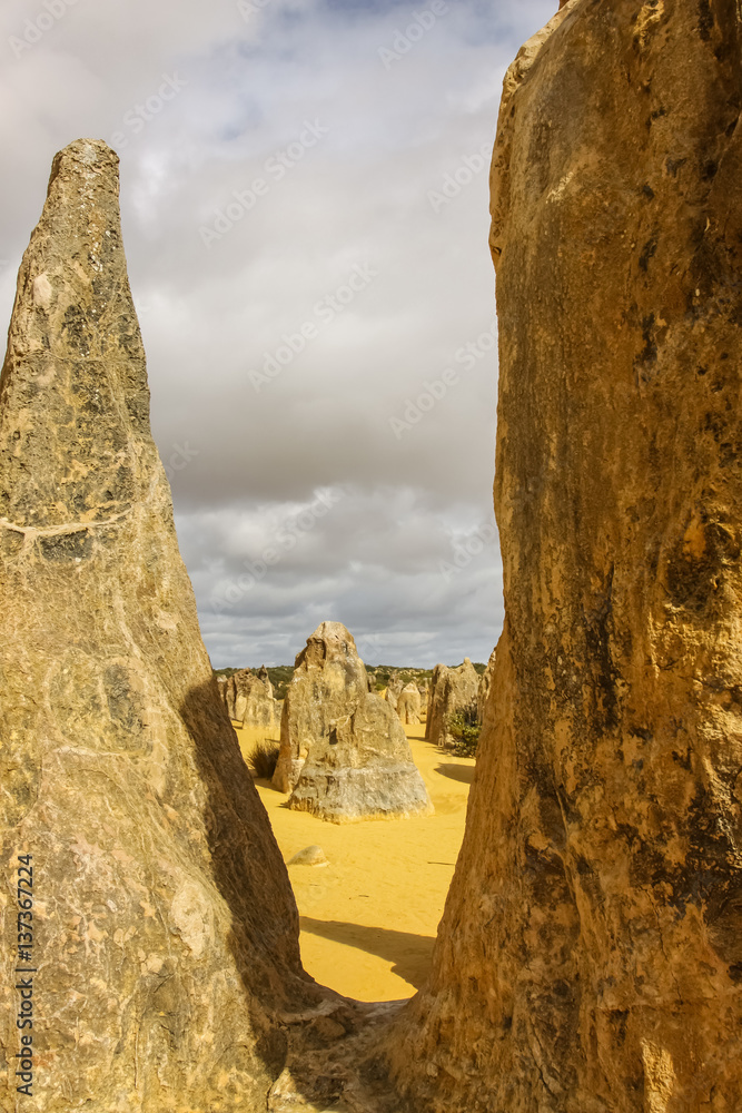 Bizarre rock formations The Pinnacles in late afternoon light, Nambung National Park, Western Australia