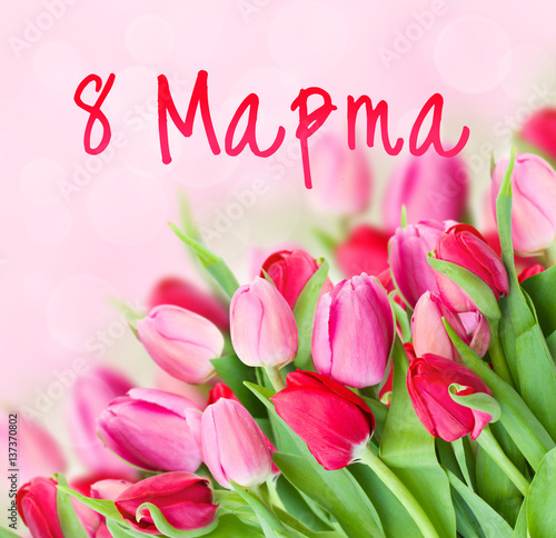 bouquet of fresh spring pink tulips on bokeh background for 8 March international womens day