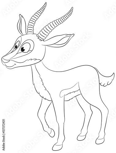 Niedliche Gazelle Vektor-Illustration © Christine Wulf
